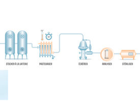 Lait - Process et fabrication