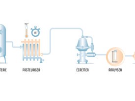 Lait - Process et fabrication