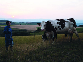 Vaches dans un pré avec leur éleveuse