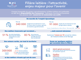 Infographie - Filière laitière - l’attractivité, enjeu majeur pour l'avenir