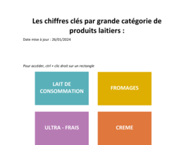 Les chiffres clés par grande catégorie de produits laitiers - 2024