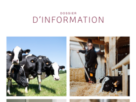 Dossier d'information
