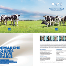 Plaquette et infographies France Terre de lait