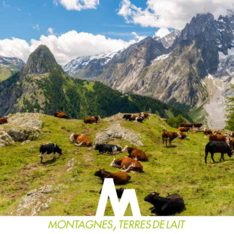 Dossier d'information - Montagnes, terres de lait - Quel avenir pour le lait de montagne
