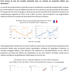Synopsis conjoncture Novembre 2021
