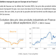 Conjoncture septembre 2021 - La production laitière marque le pas en Europe et en France !