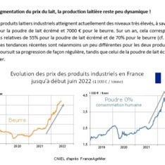 Texte de conjoncture - Juin 2022
