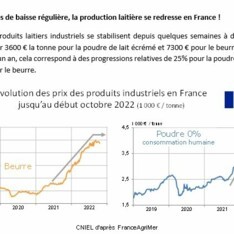 Texte de conjoncture - Octobre 2022