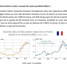 Texte de conjoncture - Novembre 2022
