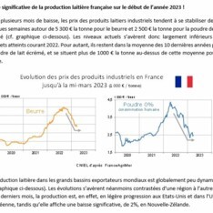 Avril 2023 -Texte de conjoncture