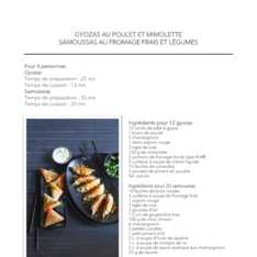 Gyozas au poulet et mimolette - Samoussas au fromage frais et légumes