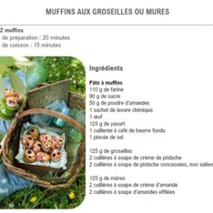 Muffins aux groseilles ou mûres