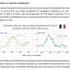 Juin 2024 - Texte de conjoncture