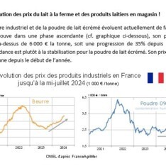 Juillet 2024 - Texte de conjoncture