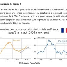 Août 2024 - Texte de conjoncture
