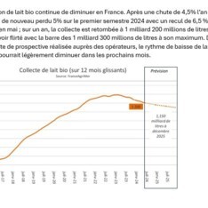 Septembre 2024 - Texte de conjoncture lait bio