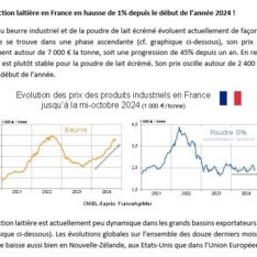 Octobre 2024 -Texte de conjoncture