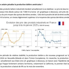 Janvier 2025 - Texte de conjoncture