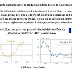 Février 2025 -Texte de conjoncture
