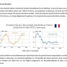 Mars 2025 - Texte de conjoncture