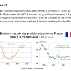 Avril 2025 - Texte de conjoncture