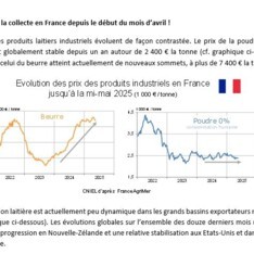 Mai 2025 - Texte de conjoncture