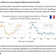 Juin 2026 - Texte de conjoncture