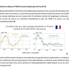 Aout 2025 - Texte de conjoncture