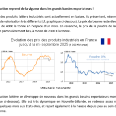 Septembre 2025 - Texte de conjoncture