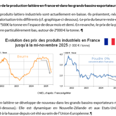 Novembre 2025 - Texte de conjoncture