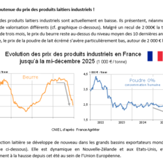 Décembre 2025 - Texte de conjoncture