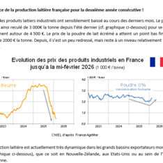 Février 2026 - Texte de conjoncture