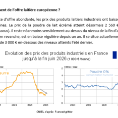 Juin 2026 - Texte de conjoncture
