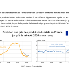 Août 2026 -Texte de conjoncture