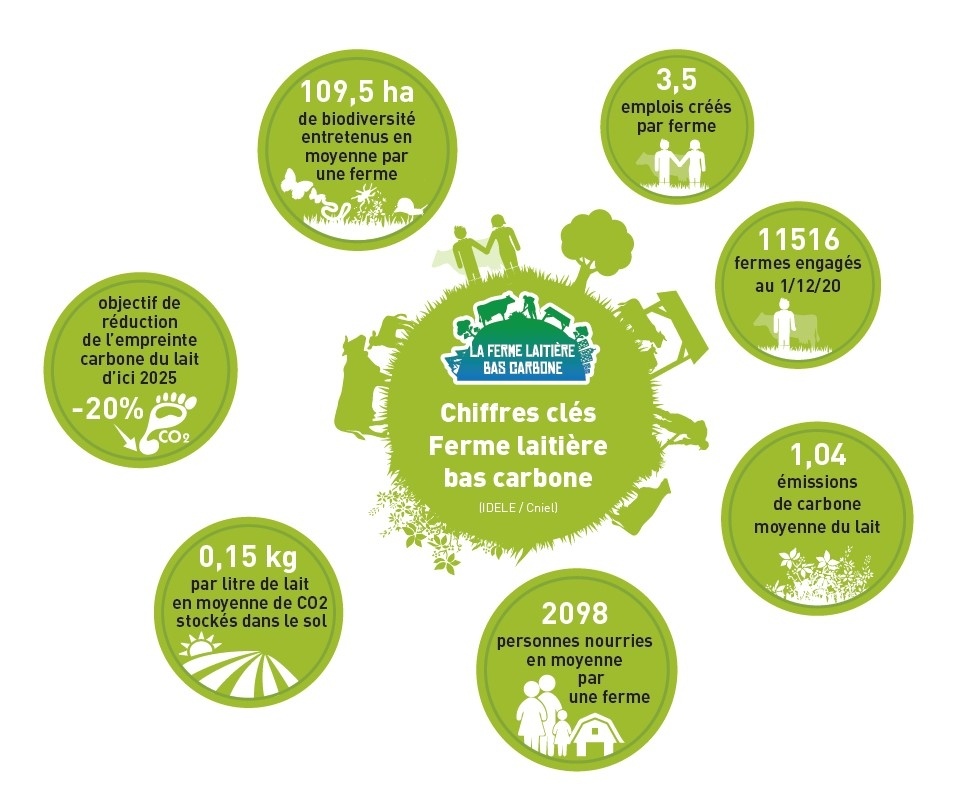 Infographie chiffres clés Ferme Laitière Bas Carbone - 2020