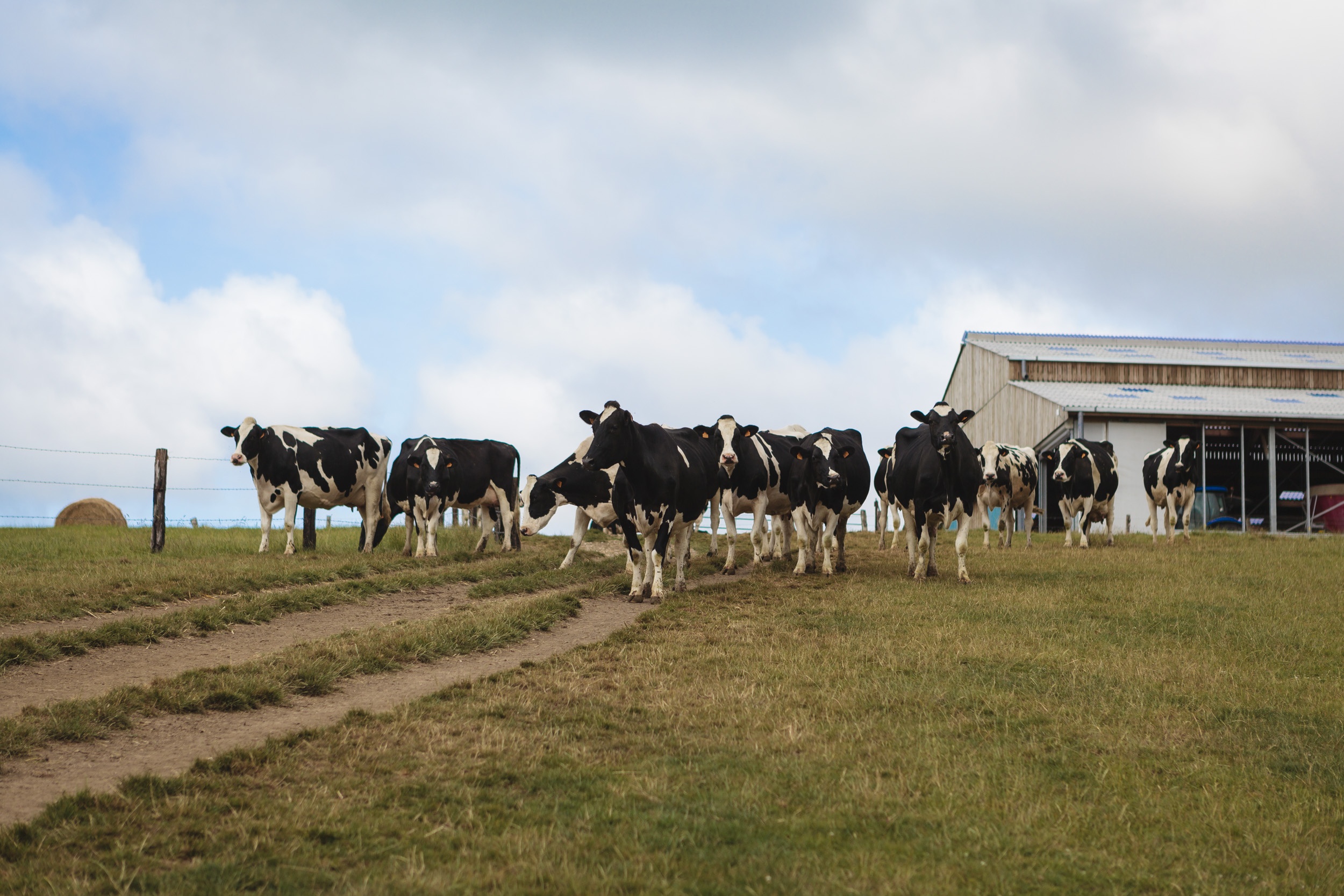 Adaptation des bâtiments