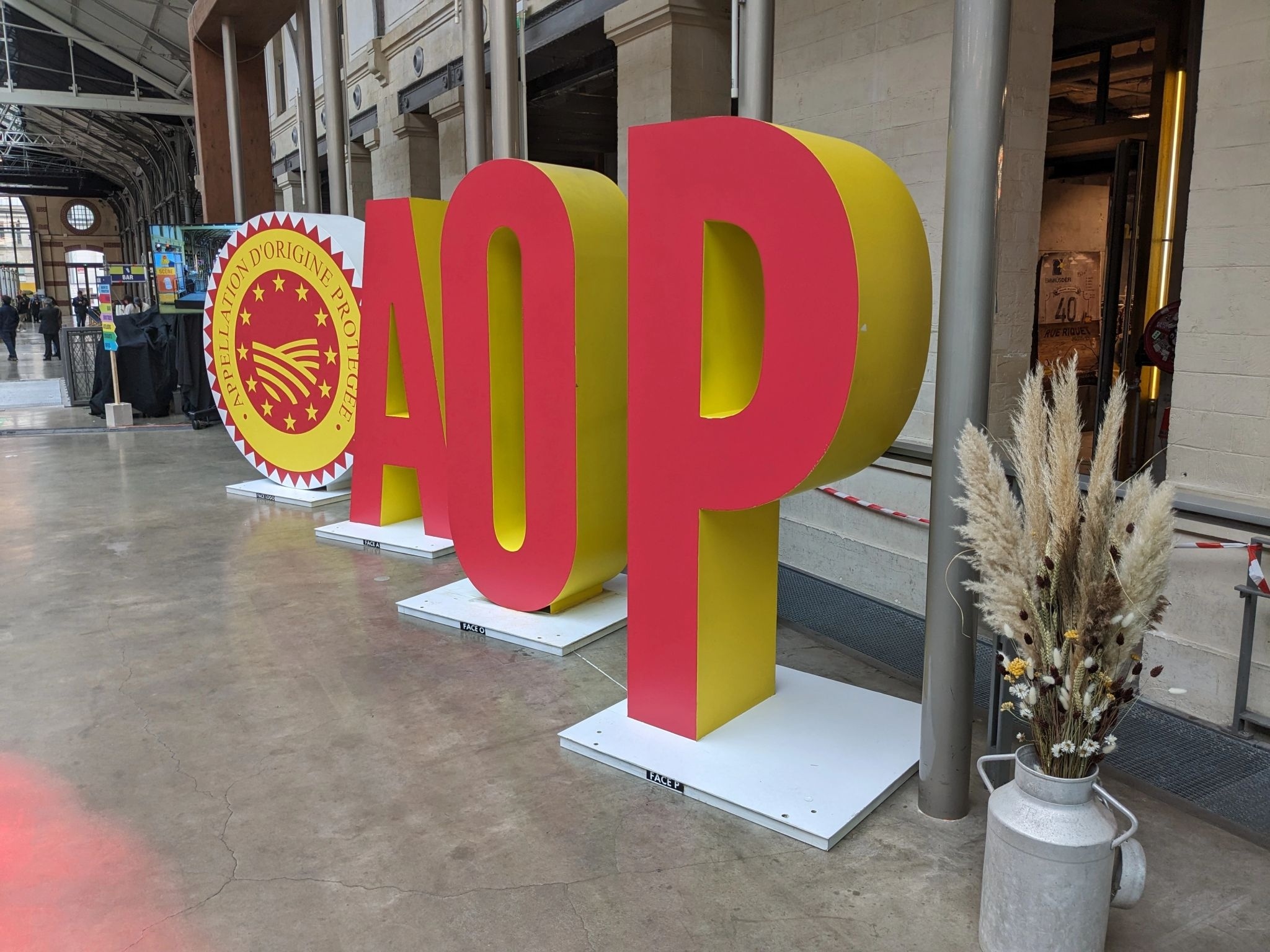 AOP FESTIVAL 2024 - 2  / ©Asgard ©Abyss