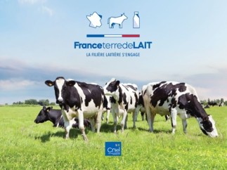 La filière laitière lance sa démarche collective de responsabilité sociétale “France Terre de Lait”