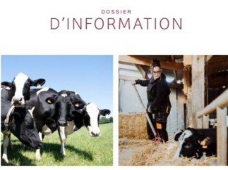 Dossier d'information