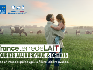 Souveraineté alimentaire : entre ambition et transformation, la filière laitière française avance