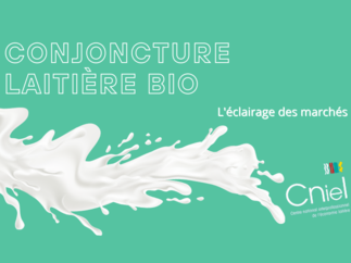 Conjoncture laitière Bio - Avril 2025