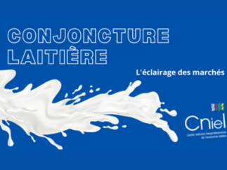Conjoncture laitière - Mai 2026 - Forte revalorisation des protéines du lait dans un contexte de production particulièrement abondante