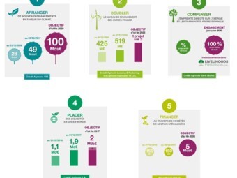 Infographie2.JPG