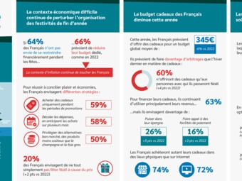 Infographie Sofinco fêtes de fin d'année HD.jpg