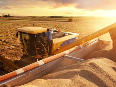 Une nouvelle ambition pour l’agroalimentaire français – Parole d'expert : itw de Philippe Chapuis
