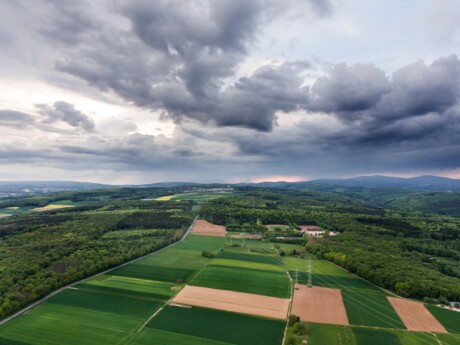 Sécurisation du revenu des agriculteurs : Pacifica innove et annonce le lancement de la garantie Chiffre d’Affaires sécurisé