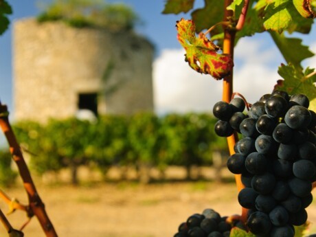 Le Groupe Crédit Agricole vient de signer un protocole d’accord en vue de la vente du Château La Tour de Mons à la Société Civile Château Labégorce