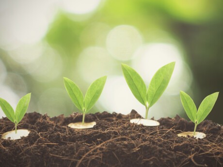 Crédit Agricole CIB innovates in the global sustainable capital market  with a market first: Solidarity-based Green Bond