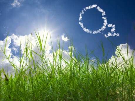 Climate & responsible finance: Crédit Agricole Group joins the Net Zero Alliance