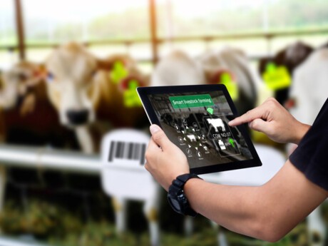 Supernova Invest et Crédit Agricole créent un fonds spécialisé dans l’agri-agro tech
